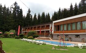 Lesni Pension